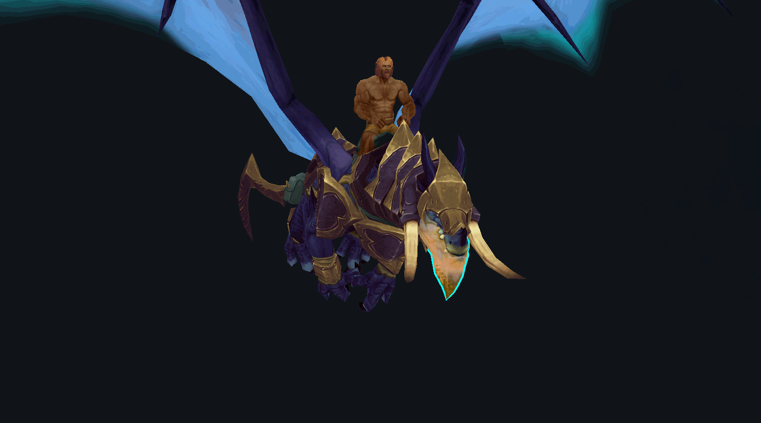 animated flight.gif